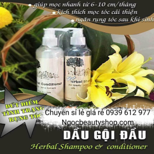 Bộ đôi dầu gội dầu xả kích thích mọc tóc Herbal Thái Lan